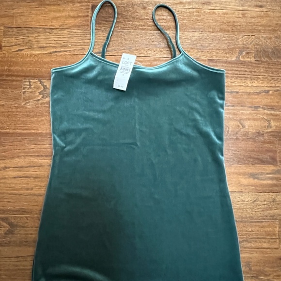 2 (TWO)Ann Taylor Velvet Tanks - Picture 2 of 7